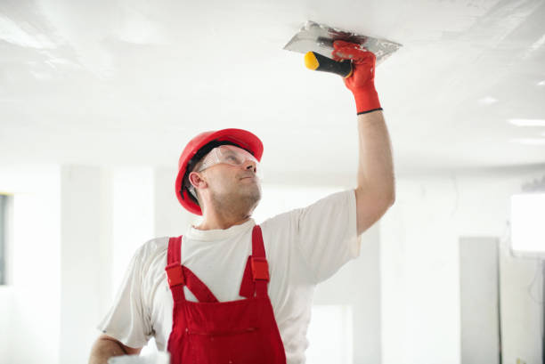 Best Exterior Painting  in Columbia, IL